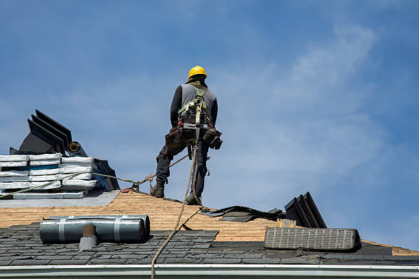 Professional Roofing technician working in Amenia, ND
